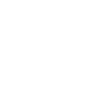 Wordpress Icon